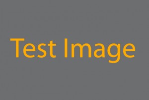 Test 5: Rants about Testing Testing Testing